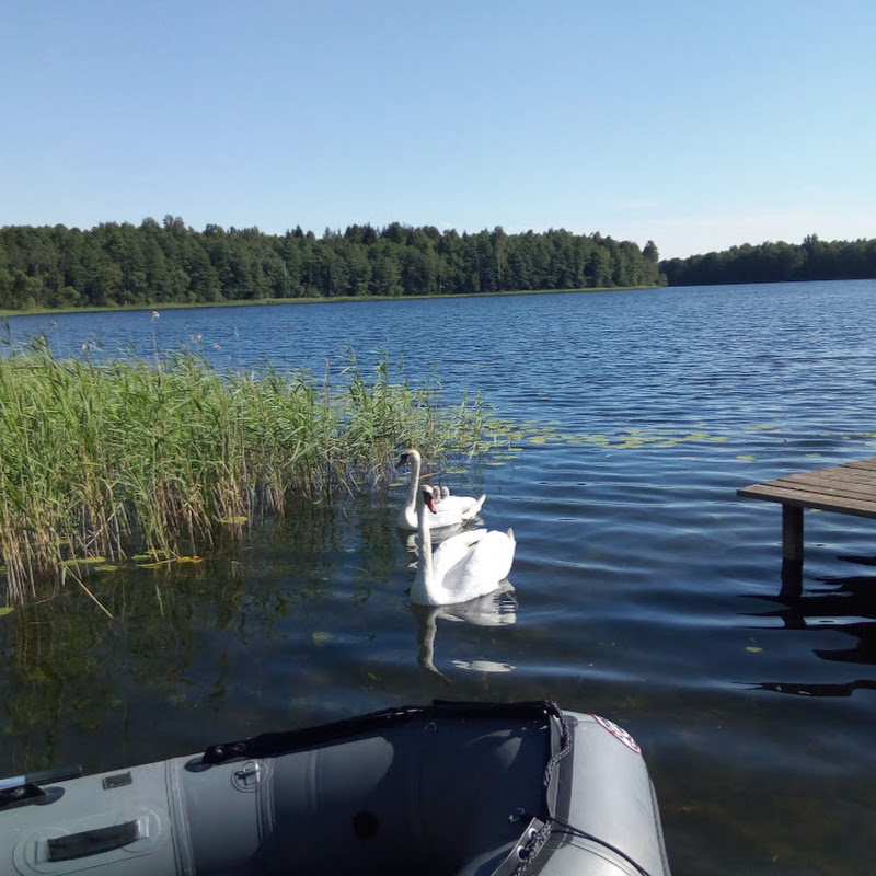 Заметки Отшельника Logo