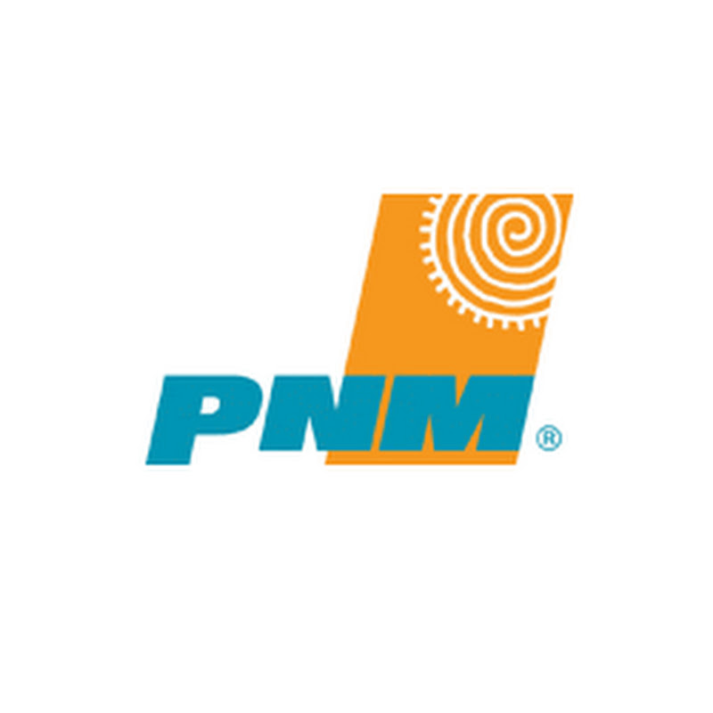 PNMelectric