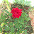 @thiannaisungsung1003's avatar