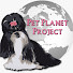 m4kBhSfHNSw-channel-avatar-Pet Planet Project