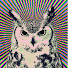 kBUQO2u-eD4-channel-avatar-Nicolas Lepage