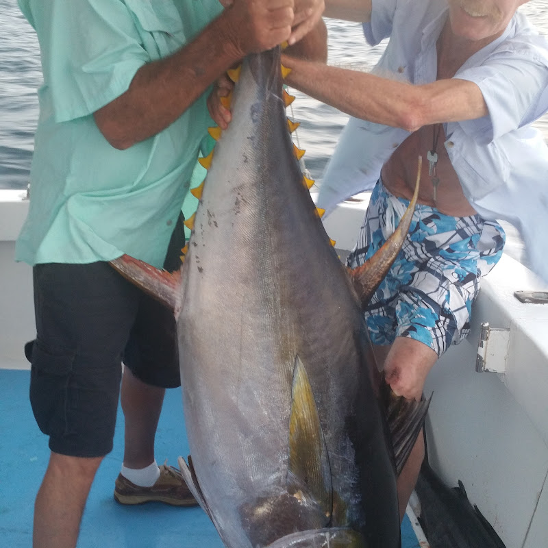 Deep sea fishing Puerto Vallarta