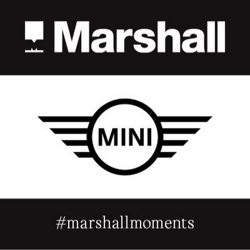 Marshall MINI