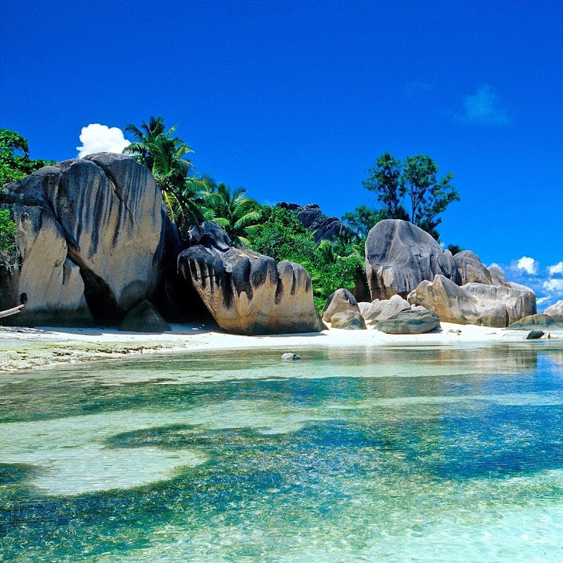 Trip_TourismPic