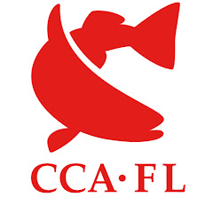CCAFlorida