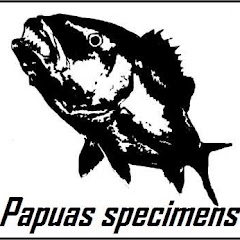 papuaspecimens