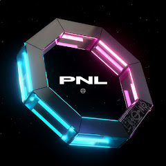 PNL channel logo