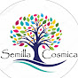Semilla Cosmica Avatar