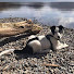 I_bVHR1sRyY-channel-avatar-Jacob Tonkin