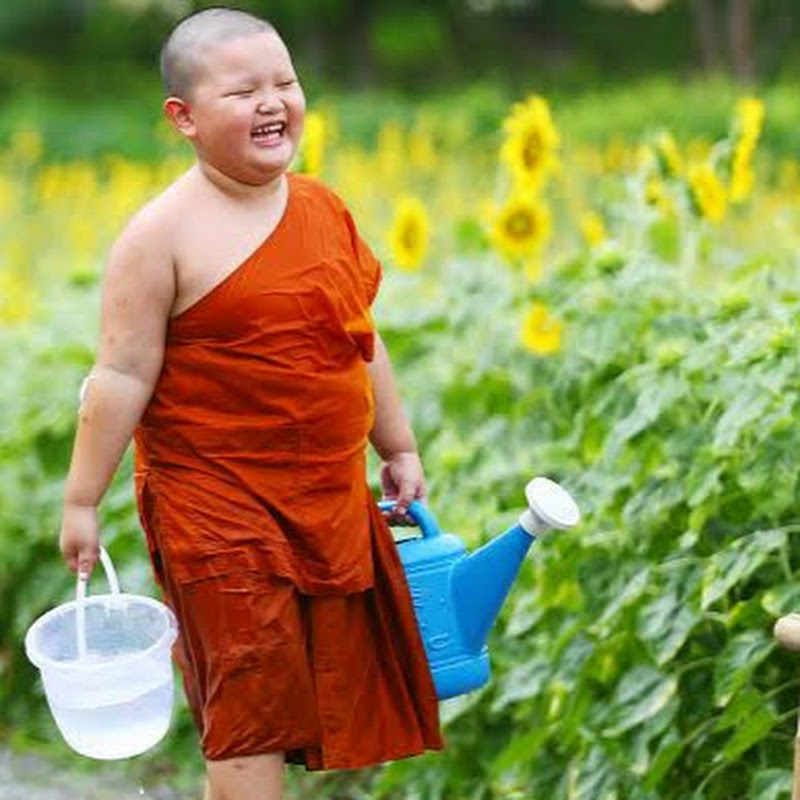 ธรรมะ สบายจิต