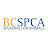 BC SPCA (BCSPCA Official Page)
