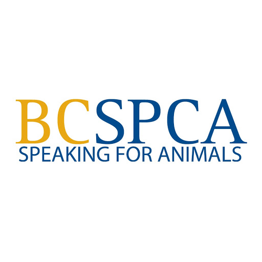 BC SPCA (BCSPCA Official Page)