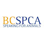 BC SPCA (BCSPCA Official Page)