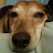 @nenadkrbavac2313 Avatar