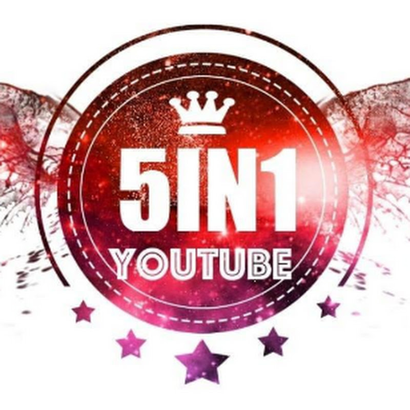 5in1