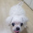 @홍체리-d3t