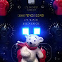 shirokuma studio