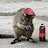 @DeDovla's avatar