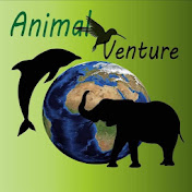 Animal Venture