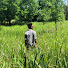 yFaIR_ZkX0E-channel-avatar-Samuel Lian