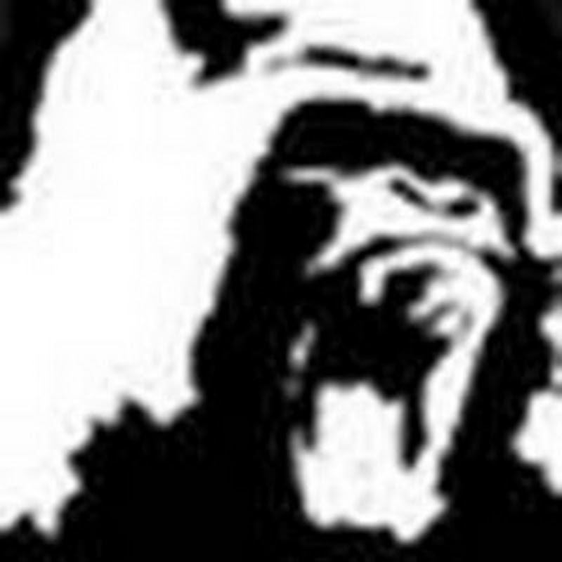 PWGWrestling icon