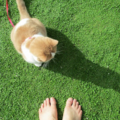 クラピアちゃんねる