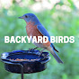 Backyard Birds logo