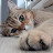 @SUSU-uf9vb