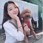 Vlog승파카의 일상