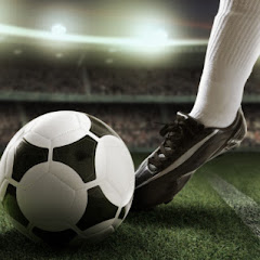 Sportvivo