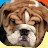 @eefhendrikx1790's avatar