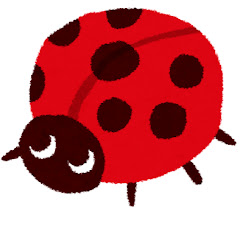 ちゃこはみ*