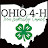 Ohio 4-H Teen Leadership Council