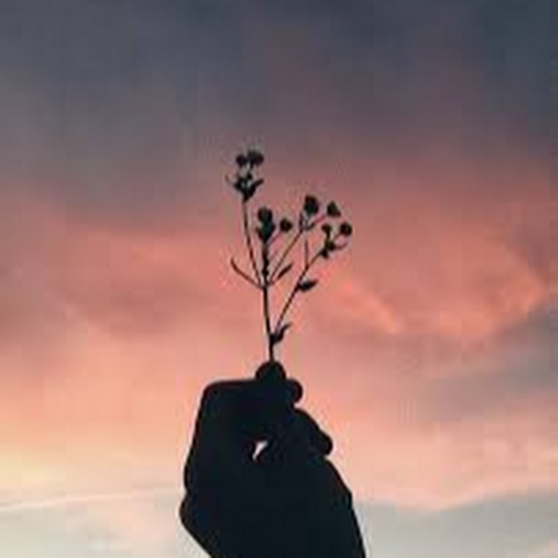 dreamsster