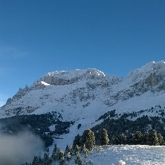 Dolomiten Holz