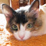 B2MY2jwvM2s-channel-avatar-Iatraviata69