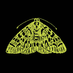 The Moth Avatar