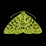 dXRsPlhx5ao-channel-avatar-The Moth