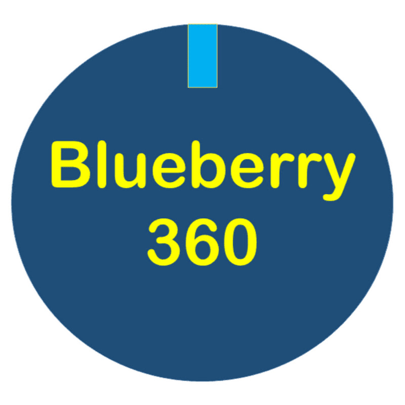 Blueberry 360