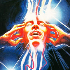 VHS Trailer Park net worth