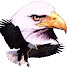 cS4OHCYXqKg-channel-avatar-The EagleFan