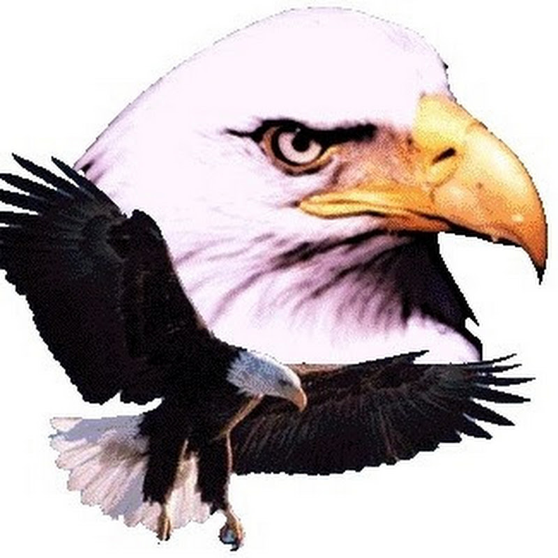 The EagleFan