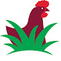 ampasturedpoultry logo