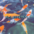 8_zTh2XGX2k-channel-avatar-Koi City STL