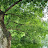 @행운의바람-x9e