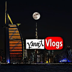 vineet vlogs net worth
