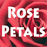 hv9TfU4l3BM-channel-avatar-Rosepetals by jaaz (Rosepetals by jaaz)