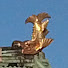 NgPyuygmtqs-channel-avatar-名古屋城公式チャンネル Nagoya Castle Official Channel