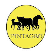 PintagroEcuador