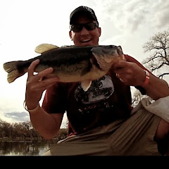 live2fish365